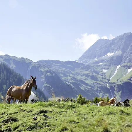 In Kirchberg Near Lift & Sauna Апартаменты