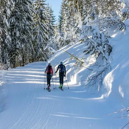 In Kirchberg Near Lift & Sauna Холлерсбах (Пинцгау)
